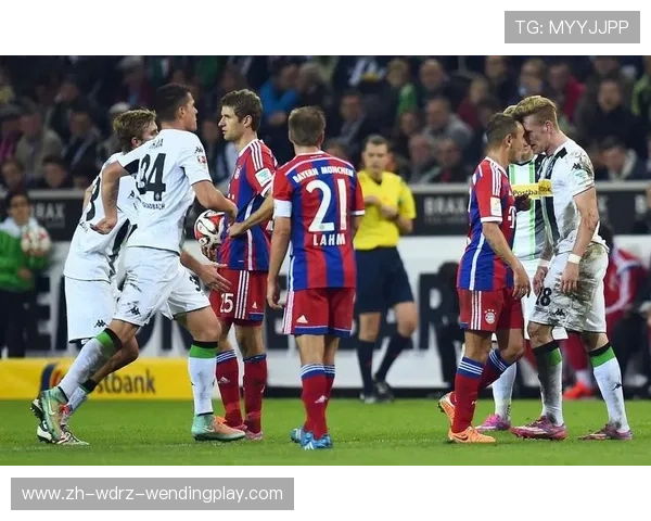 德甲球队的历史派别划分与球迷文化差异