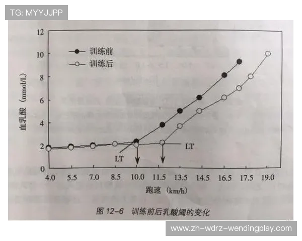 高强度间歇训练如何帮助提高脂肪燃烧效率与肌肉增长