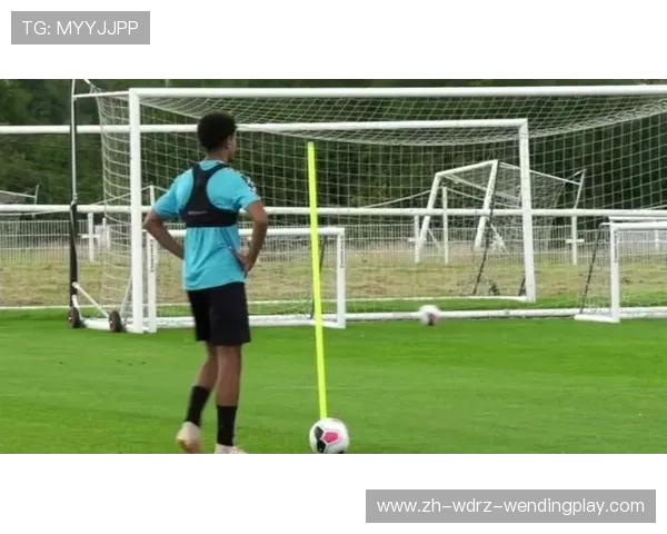 足球运动员的多元化训练与技术整合